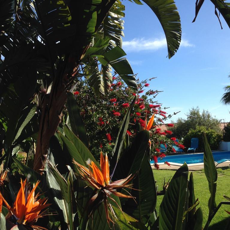 B&B Villa Di Giorgi Cefalù Exterior foto